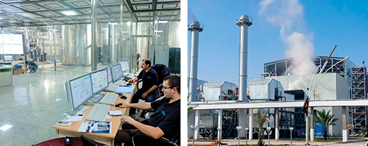 Four companies, three continents, two years, one goal