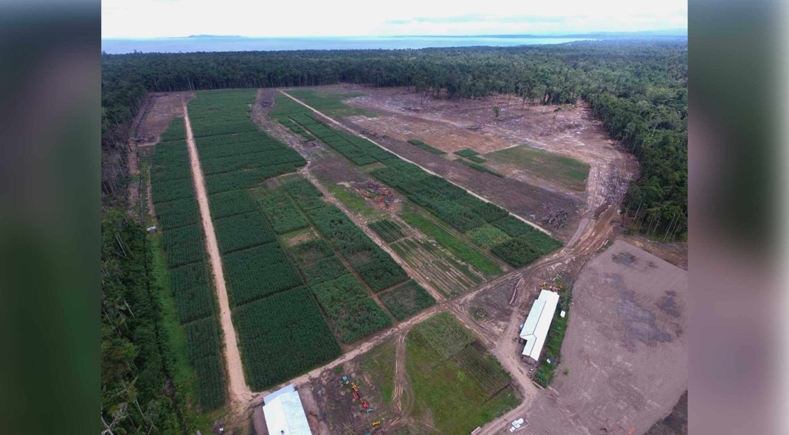 A cane sugar factory that sets new standards