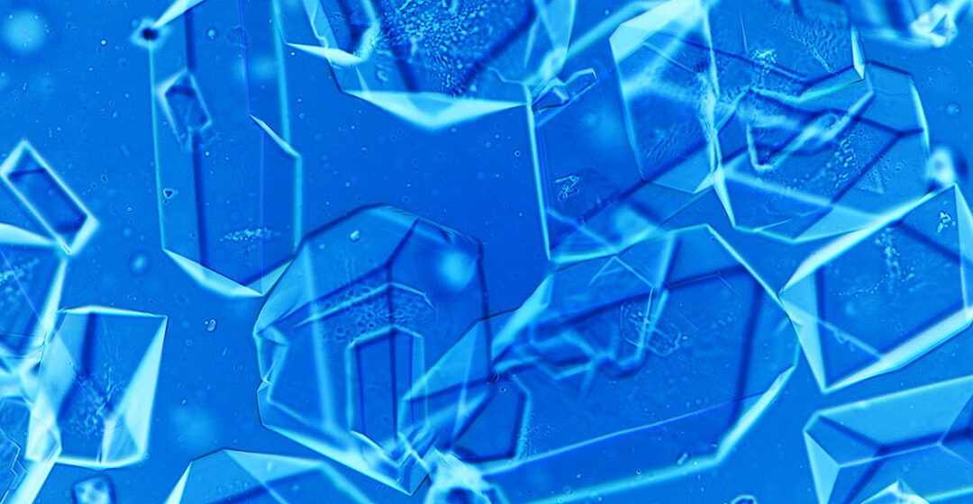 From laboratory to industrial production