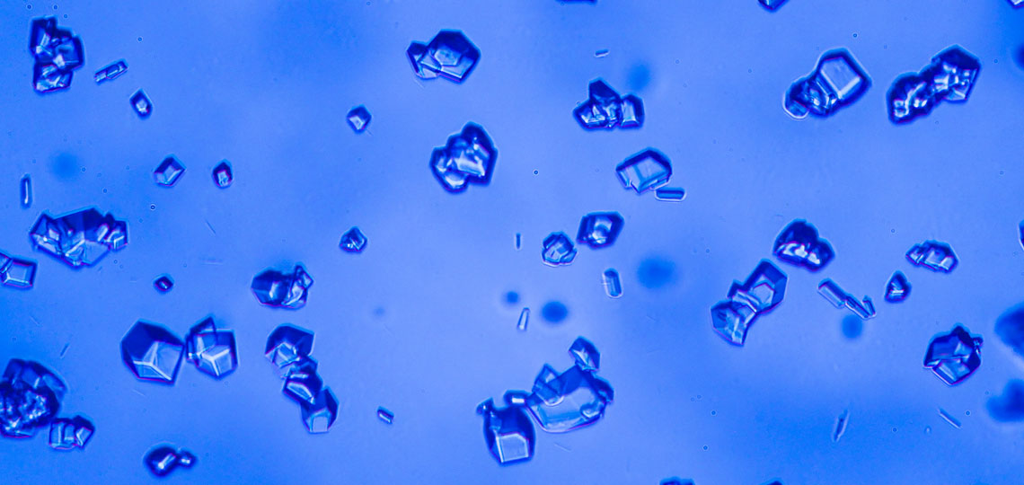 Our expertise comes in handy where the group of polyols is concerned<br />
