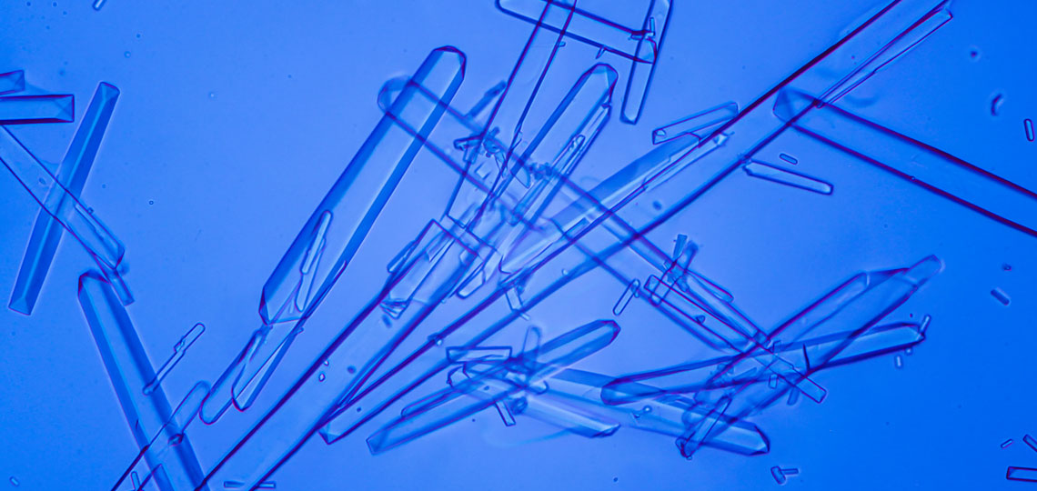 Rare sugars becoming more common<br />
