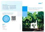 Flyer Process expertise Sugar beet