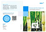 Flyer Process expertise Sugar cane