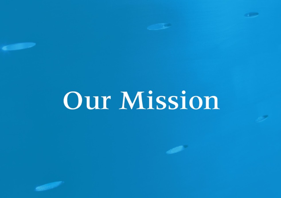 Our Mission